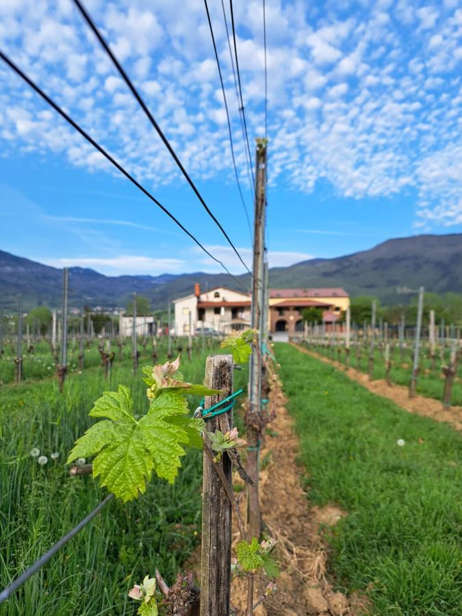 Posestvo Rouna - Winery And Apartments Віпава Екстер'єр фото