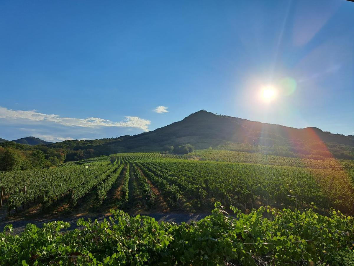 Posestvo Rouna - Winery And Apartments Віпава Екстер'єр фото