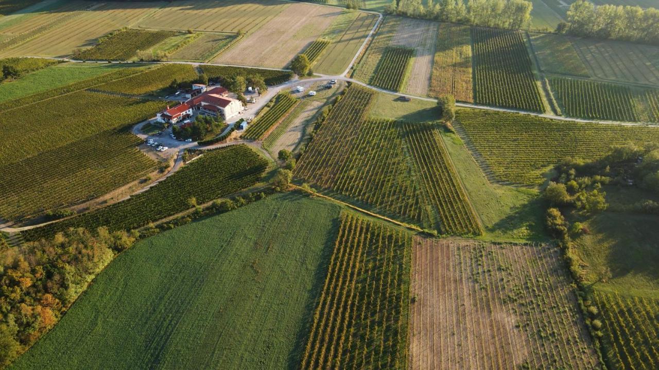 Posestvo Rouna - Winery And Apartments Віпава Екстер'єр фото